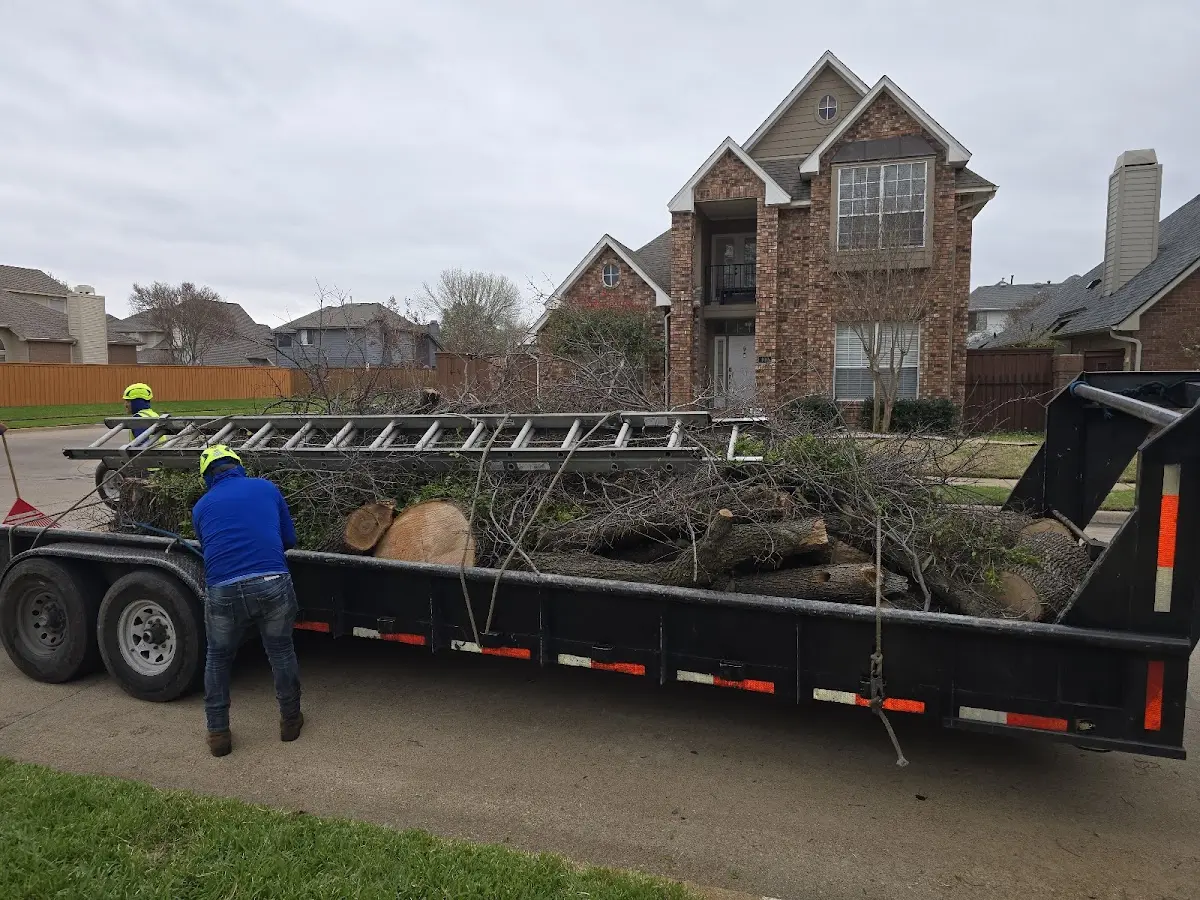 Expert Tree Pest Control with proper safety equipment in Pleasant Lake